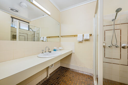 Pet Friendly Queen Room